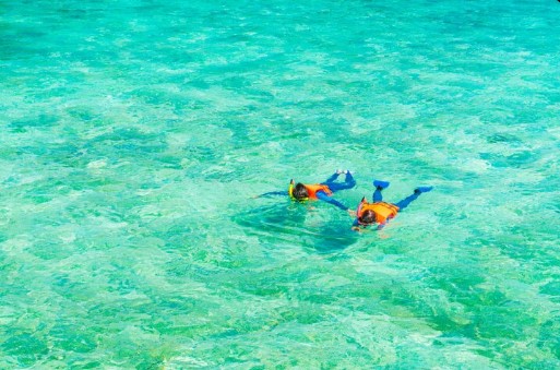 snorkling