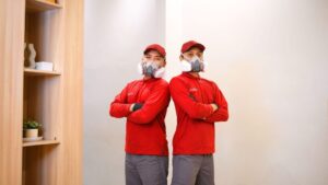 Pentingnya Jasa Anti Rayap sebagai Perlindungan Utama Bangunan dari Kerusakan Serius